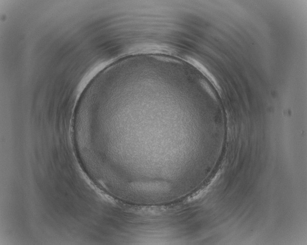 X0000074260901200609151758