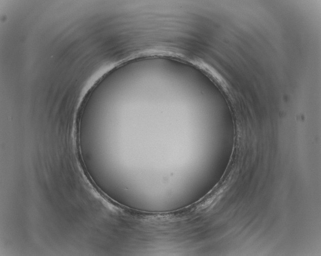 X0000074260902200609151758