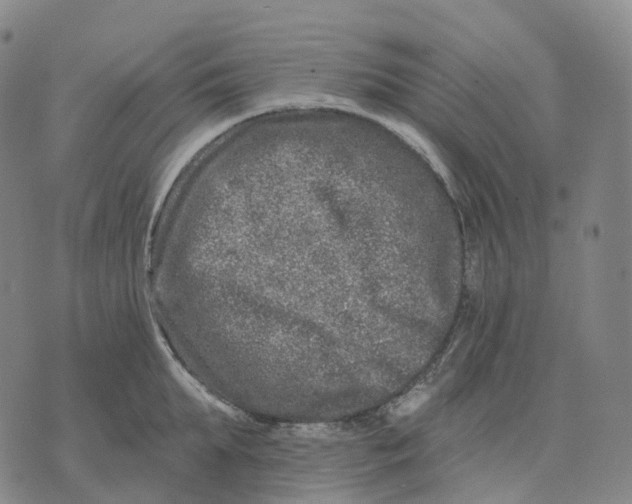 X0000074260903200609151758