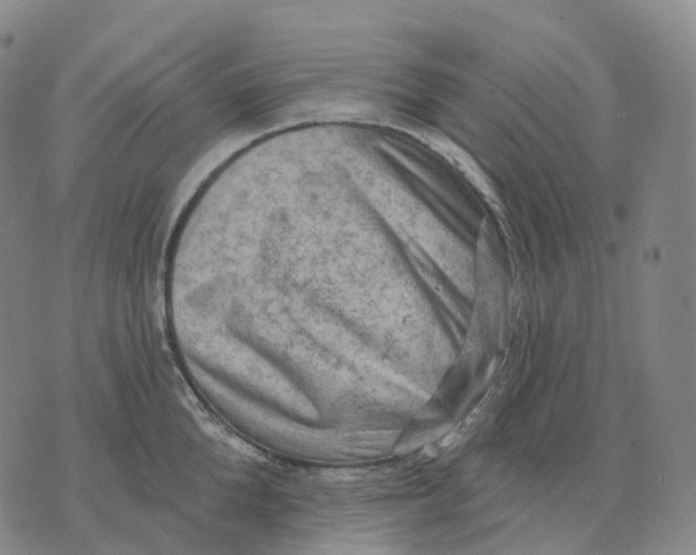 X0000074260904200609151758