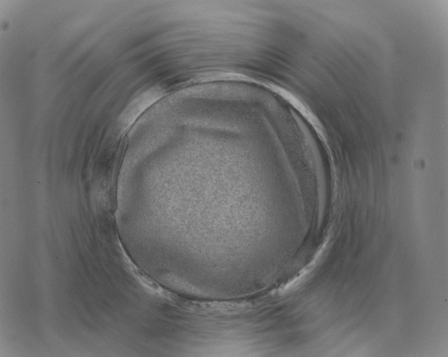 X0000074260905200609151758