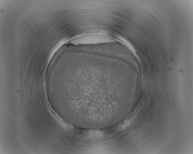 X0000074260907200609151758