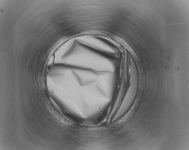 X0000074260908200609151758