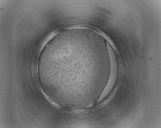 X0000074260909200609151758