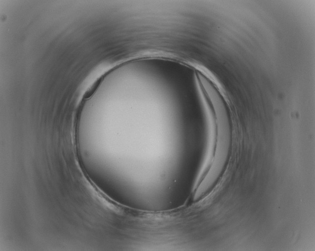 X0000074260910200609151758