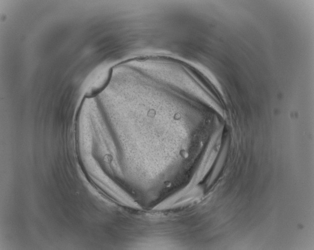 X0000074260911200609151758