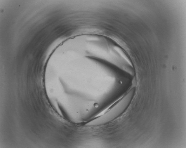 X0000074260912200609151758