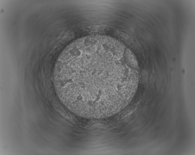 X0000074260913200609151757