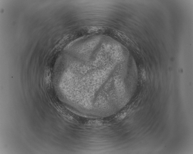 X0000074260914200609151757