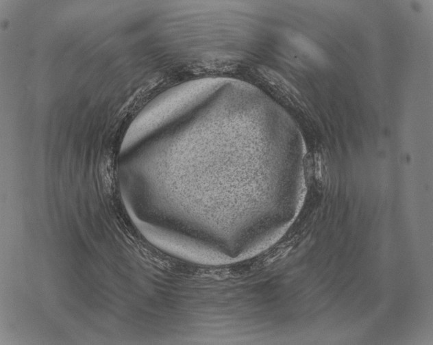 X0000074260915200609151757