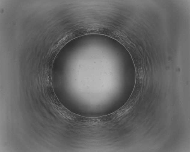 X0000074260916200609151757