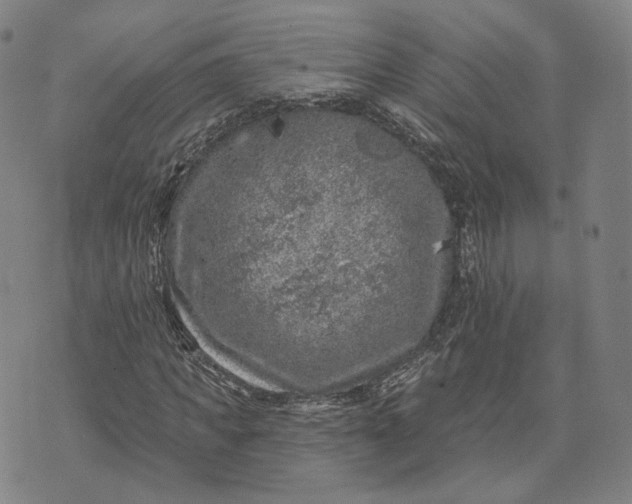 X0000074260917200609151757