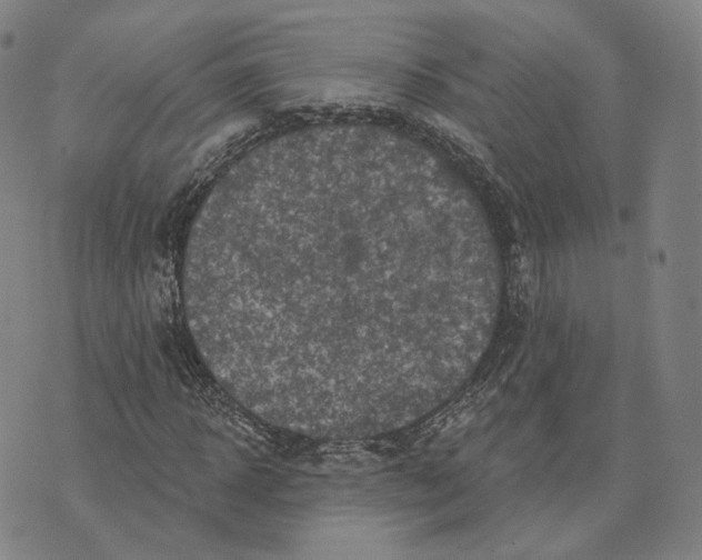 X0000074260918200609151757