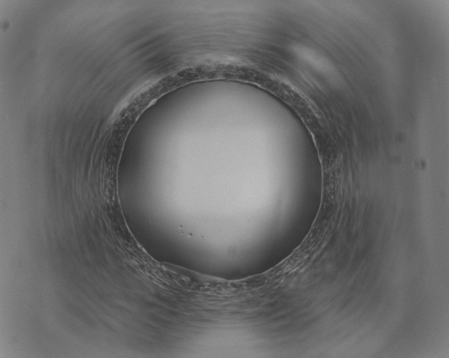 X0000074260919200609151757