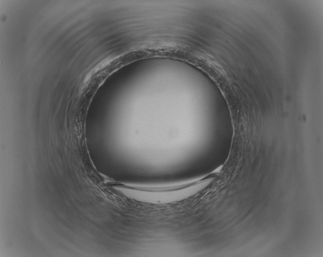 X0000074260920200609151757