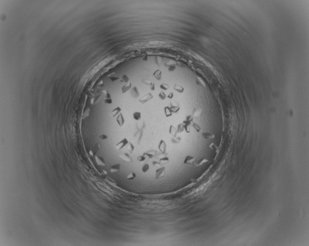 X0000074260921200609151757