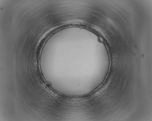 X0000074260923200609151757