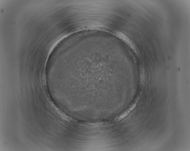 X0000074260924200609151757