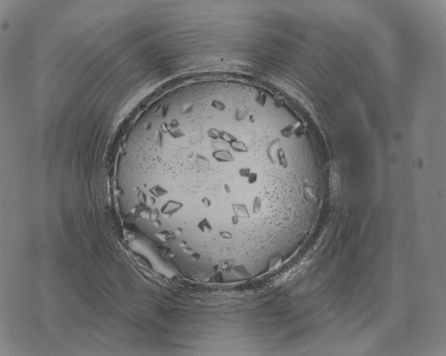 X0000074260925200609151757