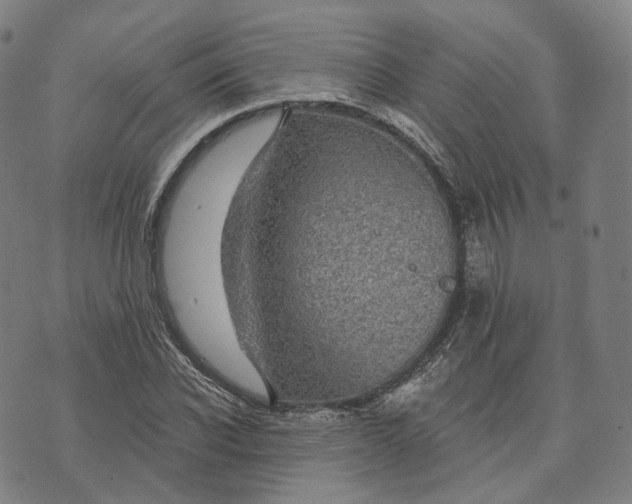 X0000074260926200609151757