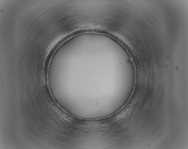 X0000074260927200609151757