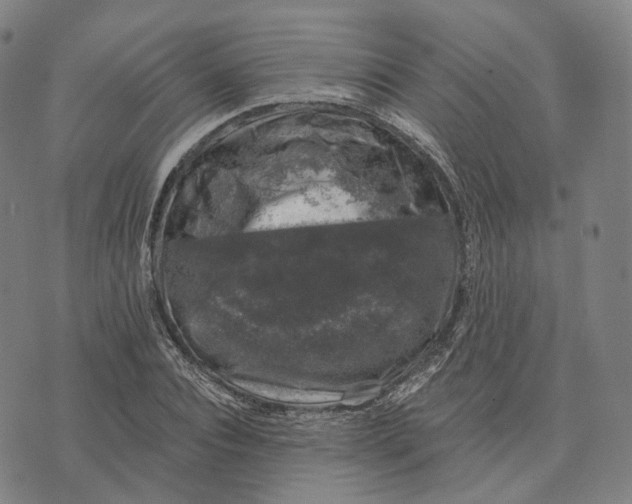 X0000074260928200609151757