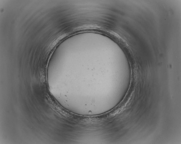 X0000074260929200609151757