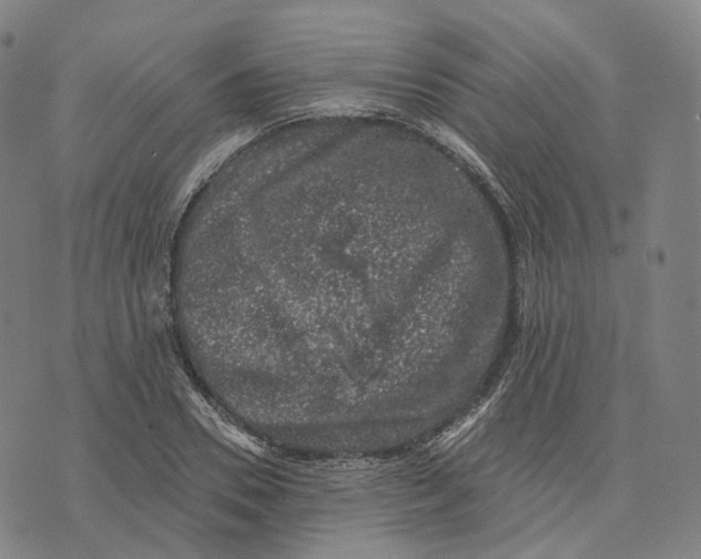 X0000074260930200609151757