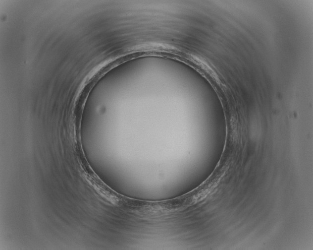 X0000074260931200609151757