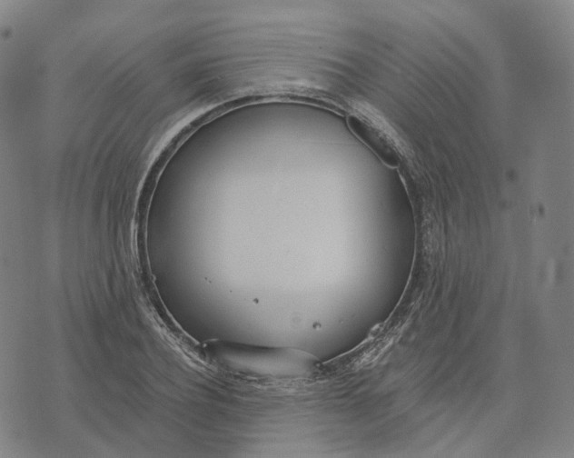 X0000074260932200609151757