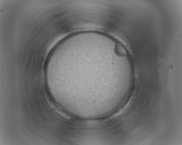 X0000074260933200609151758