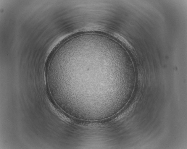 X0000074260934200609151758