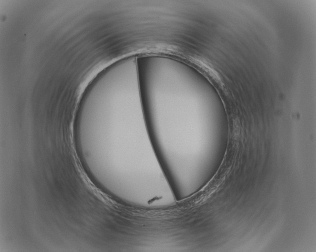 X0000074260936200609151758