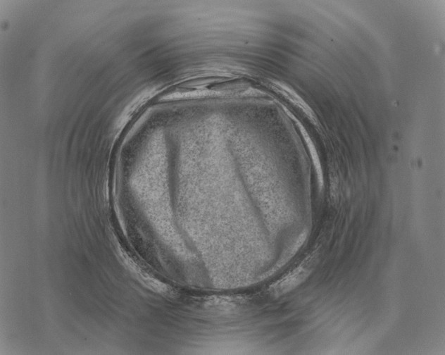 X0000074260938200609151758