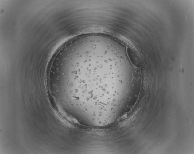 X0000074260942200609151758