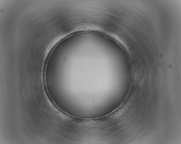 X0000074260943200609151758