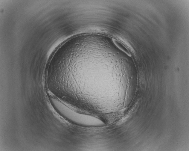 X0000074260944200609151758