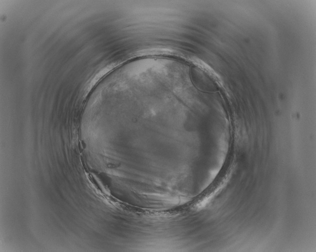 X0000074260945200609151758