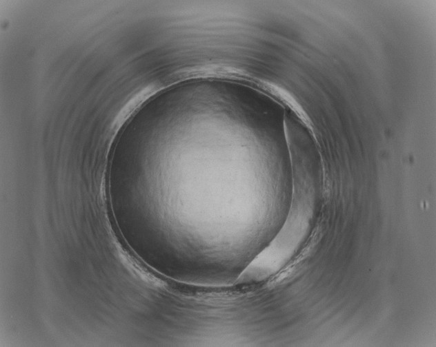 X0000074260946200609151758