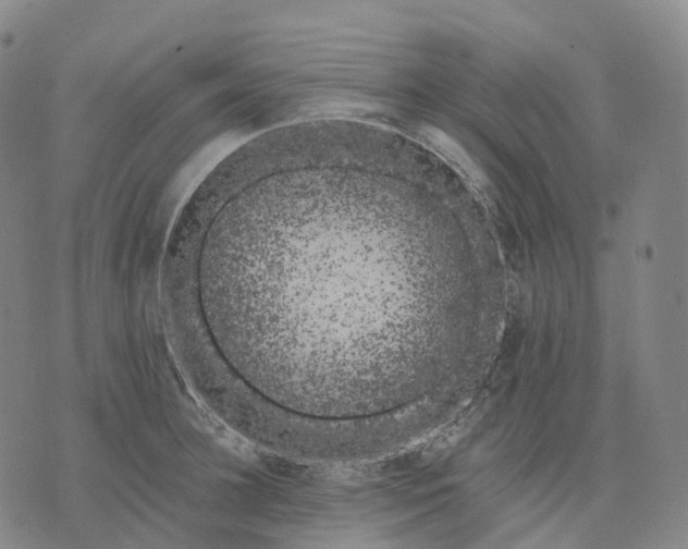 X0000074260948200609151758