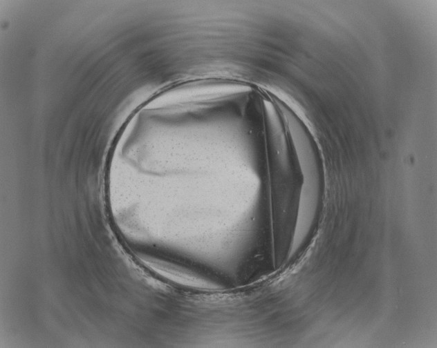 X0000074260949200609151758