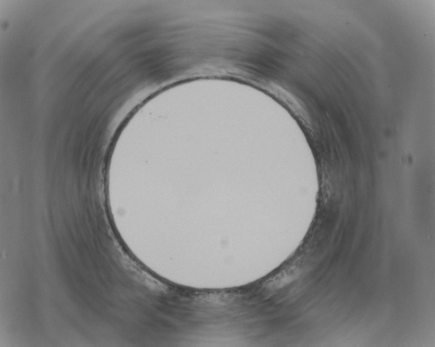 X0000074260950200609151758