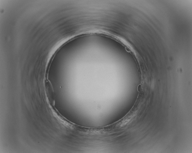 X0000074260951200609151758