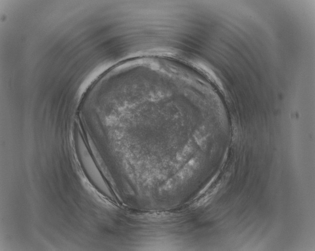 X0000074260952200609151758