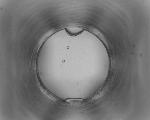 X0000074260954200609151758