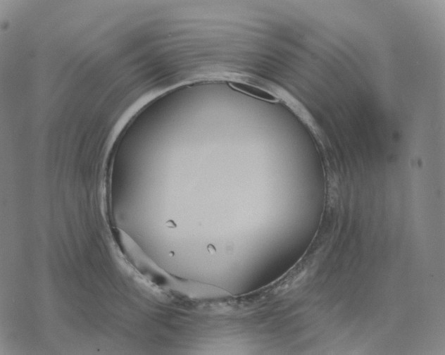 X0000074260955200609151758