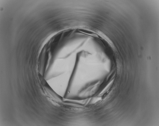 X0000074260956200609151758