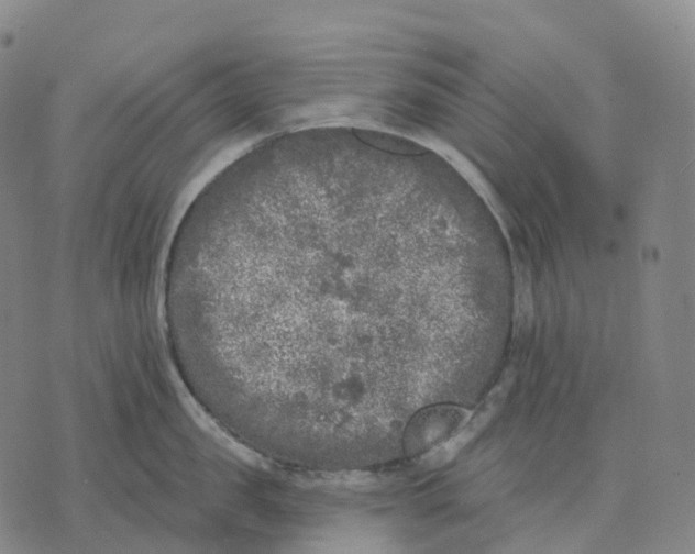 X0000074260957200609151758