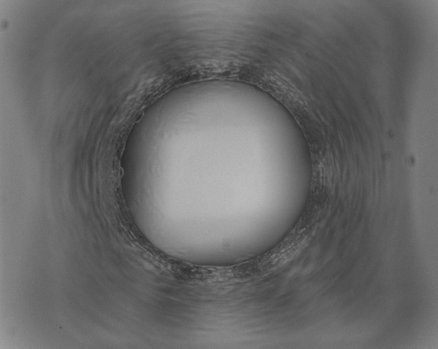 X0000074260961200609151757