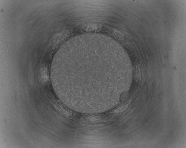 X0000074260962200609151757